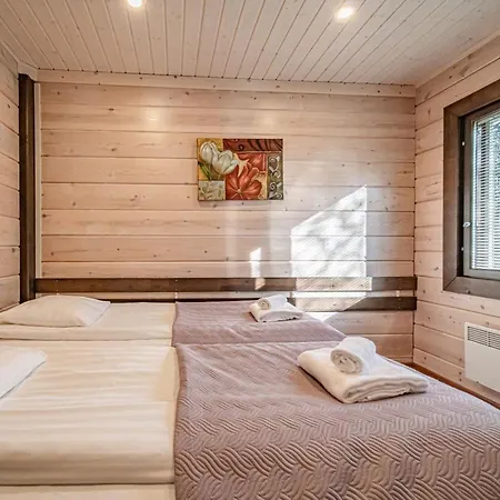 Polaris B By Aavalevi * Levi