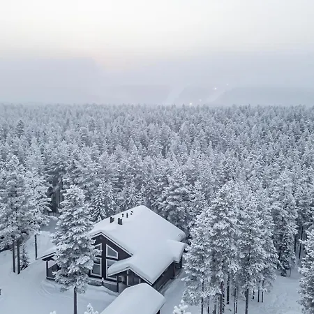 Polaris B By Aavalevi * Levi