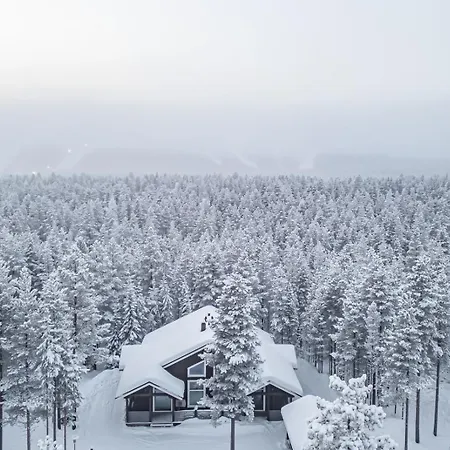 Polaris B By Aavalevi